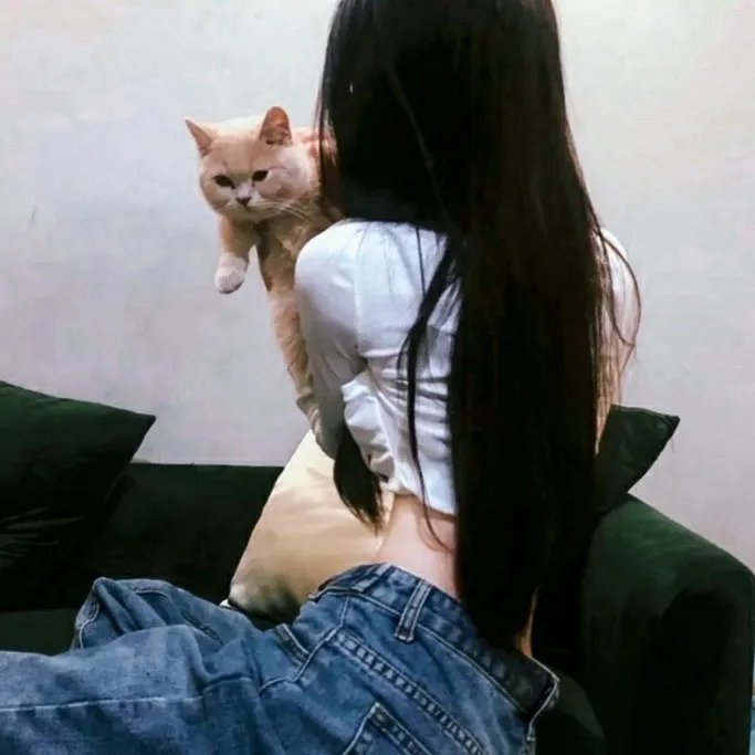 阳光姐妹淘 2011